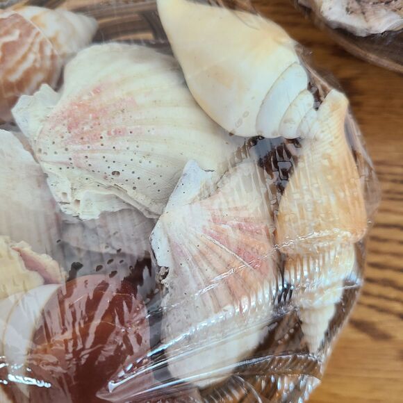 Seashells Basket - Mixed Assortment Sea Shells - Decor Or Crafting - Set of Two - Picture 6 of 10